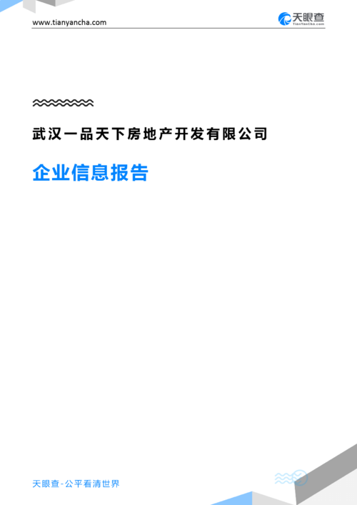 武汉大的礼品公司，武汉大的礼品公司有哪些，武汉天下一品商贸有限公司介绍？