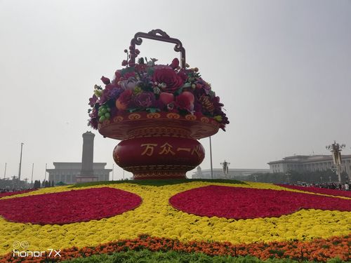 国庆送什么给女孩子比较好，送女孩子什么花比较好