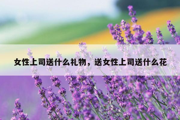 女性上司送什么礼物，送女性上司送什么花