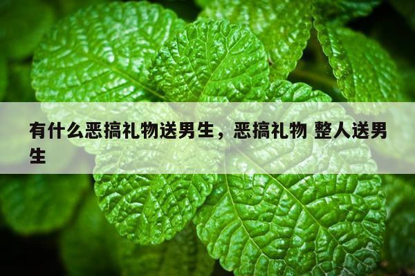 有什么恶搞礼物送男生，恶搞礼物 整人送男生