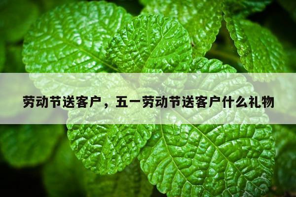 劳动节送客户，五一劳动节送客户什么礼物