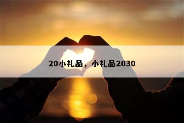 20小礼品，小礼品2030