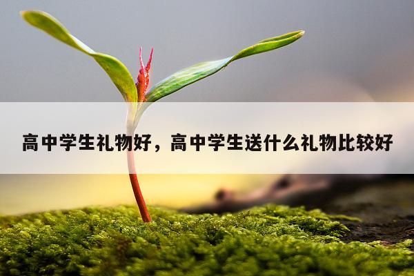 高中学生礼物好，高中学生送什么礼物比较好