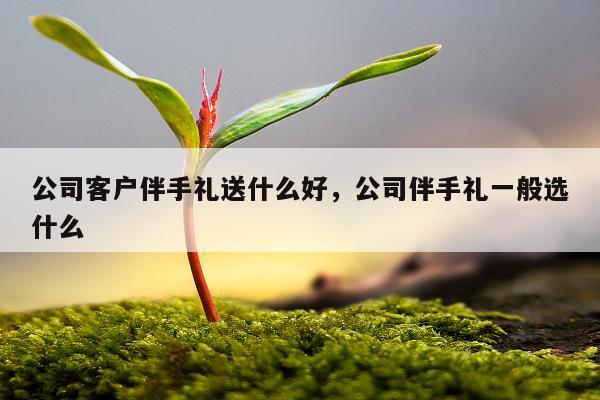 公司客户伴手礼送什么好，公司伴手礼一般选什么