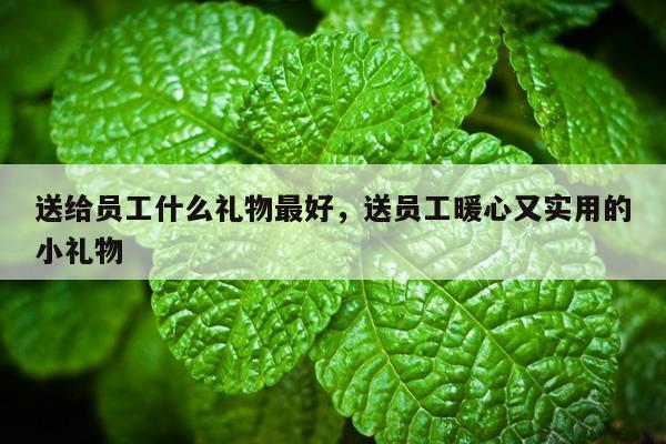 送给员工什么礼物最好，送员工暖心又实用的小礼物