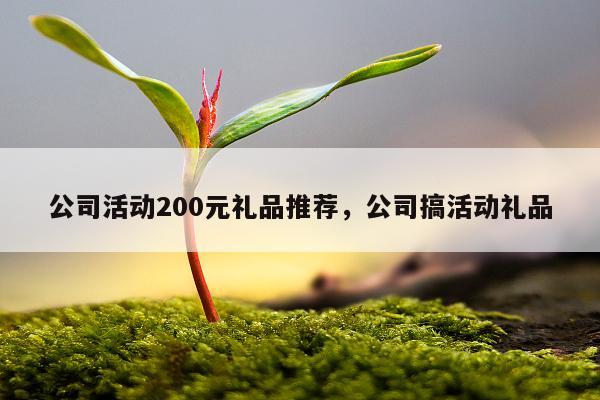 公司活动200元礼品推荐，公司搞活动礼品