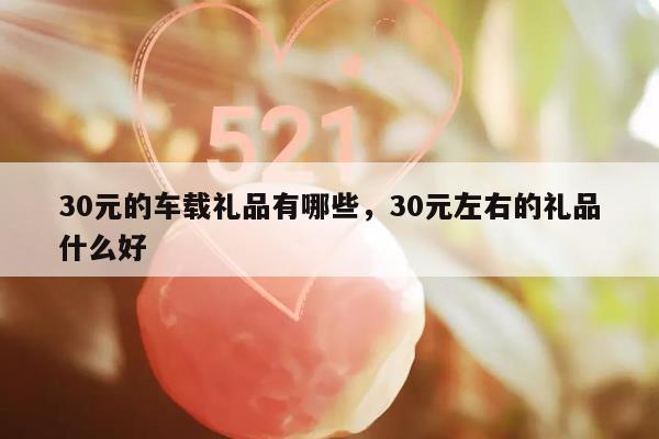 30元的车载礼品有哪些，30元左右的礼品什么好