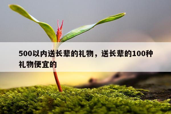 500以内送长辈的礼物，送长辈的100种礼物便宜的