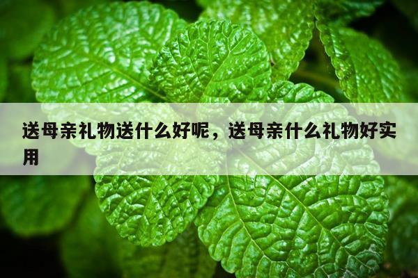 送母亲礼物送什么好呢，送母亲什么礼物好实用