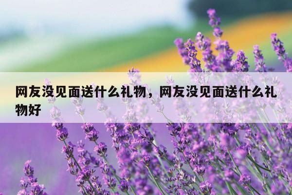 网友没见面送什么礼物，网友没见面送什么礼物好