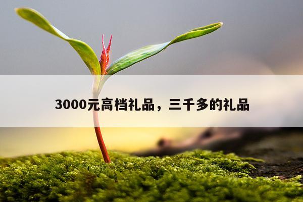 3000元高档礼品，三千多的礼品