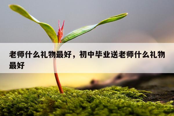 老师什么礼物最好，初中毕业送老师什么礼物最好