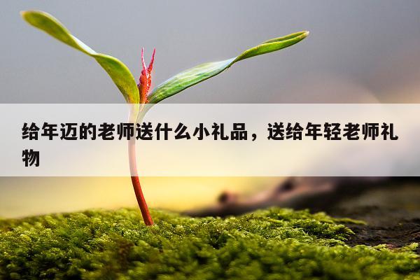 给年迈的老师送什么小礼品，送给年轻老师礼物