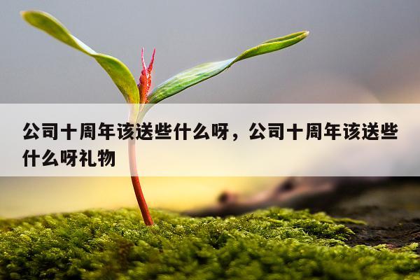 公司十周年该送些什么呀，公司十周年该送些什么呀礼物