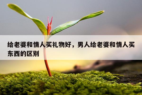 给老婆和情人买礼物好，男人给老婆和情人买东西的区别