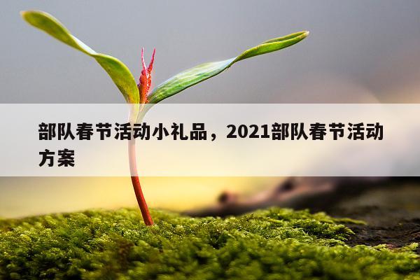 部队春节活动小礼品，2021部队春节活动方案