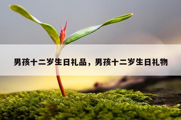 男孩十二岁生日礼品，男孩十二岁生日礼物