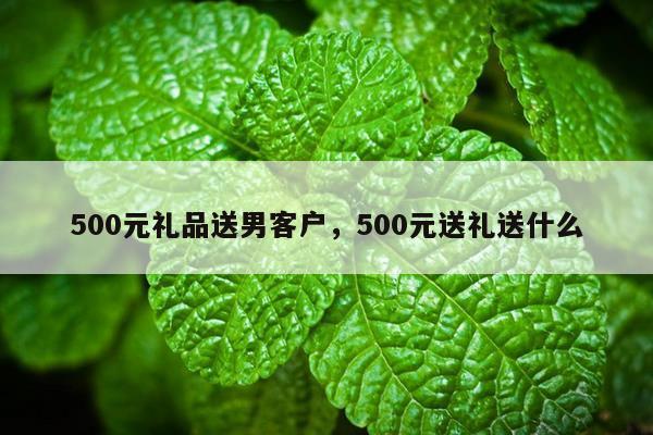 500元礼品送男客户，500元送礼送什么