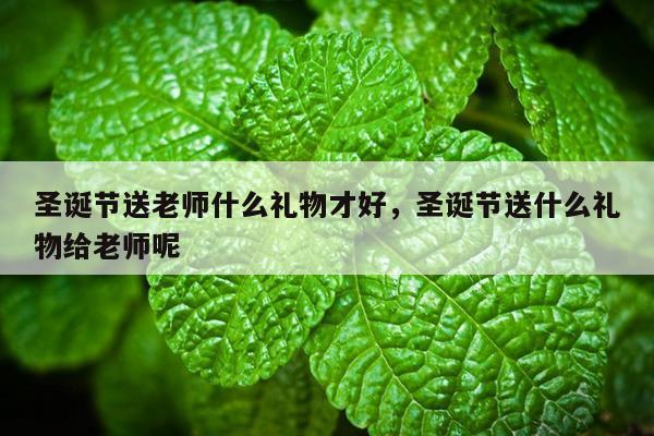 圣诞节送老师什么礼物才好，圣诞节送什么礼物给老师呢