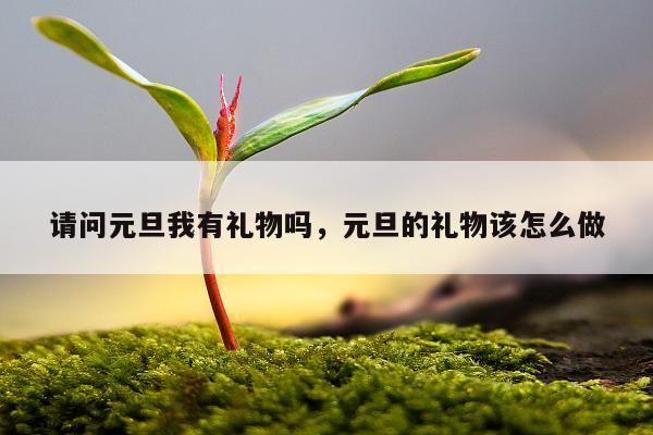 请问元旦我有礼物吗，元旦的礼物该怎么做