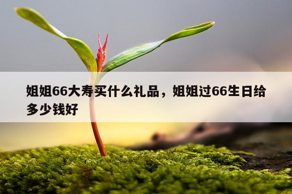 姐姐66大寿买什么礼品，姐姐过66生日给多少钱好