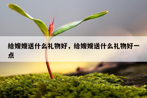 给嫂嫂送什么礼物好，给嫂嫂送什么礼物好一点