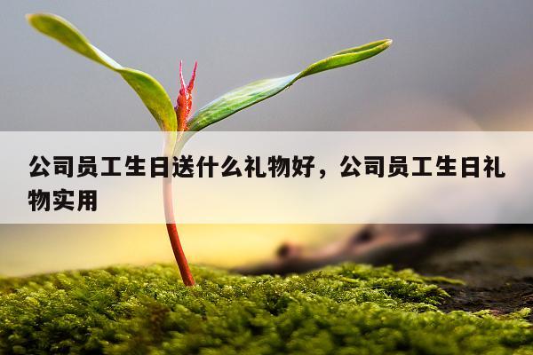 公司员工生日送什么礼物好，公司员工生日礼物实用