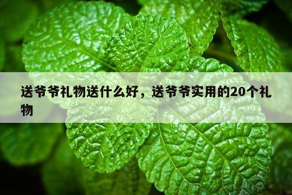 送爷爷礼物送什么好，送爷爷实用的20个礼物